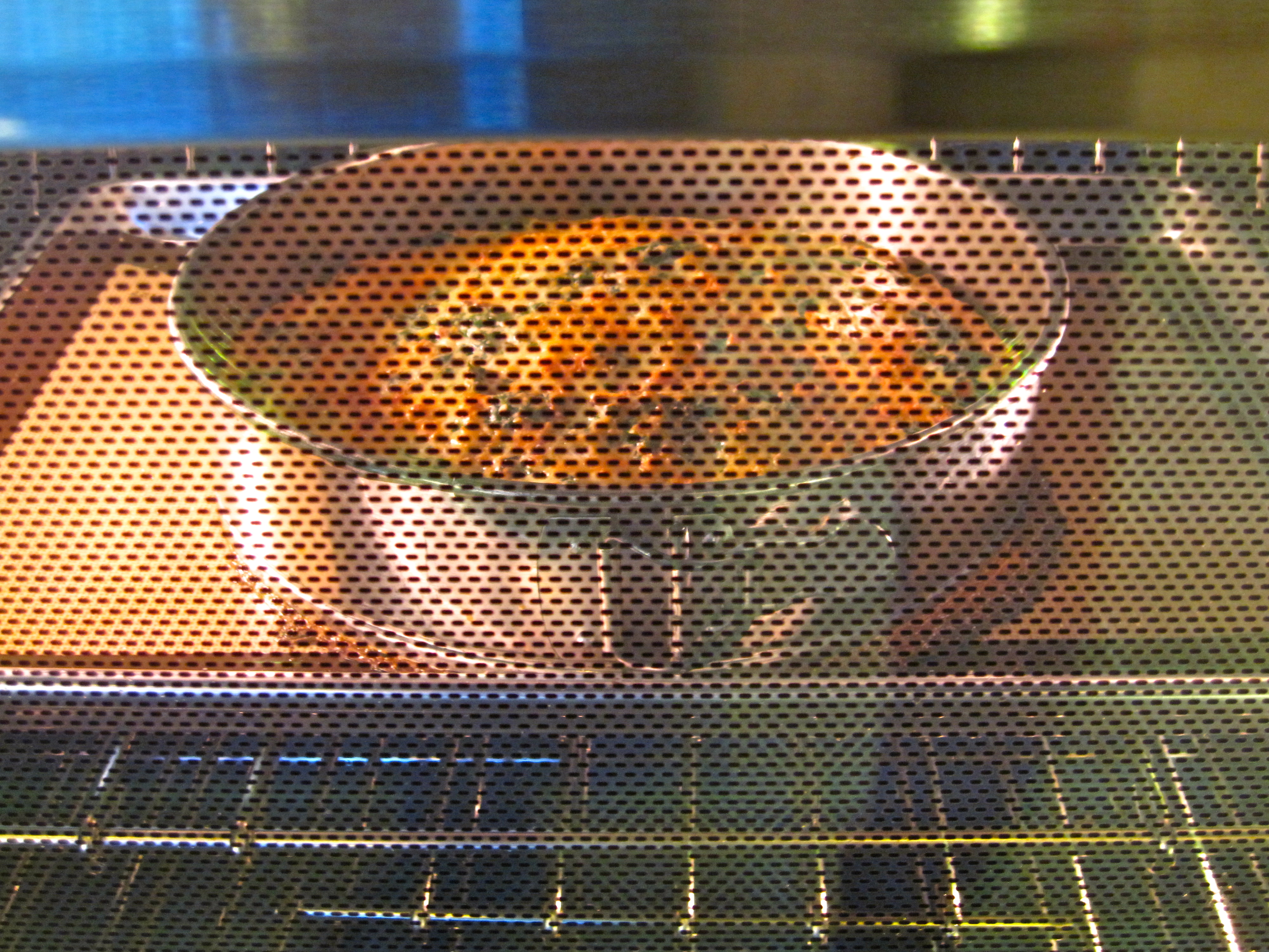 Quiche baking in oven.