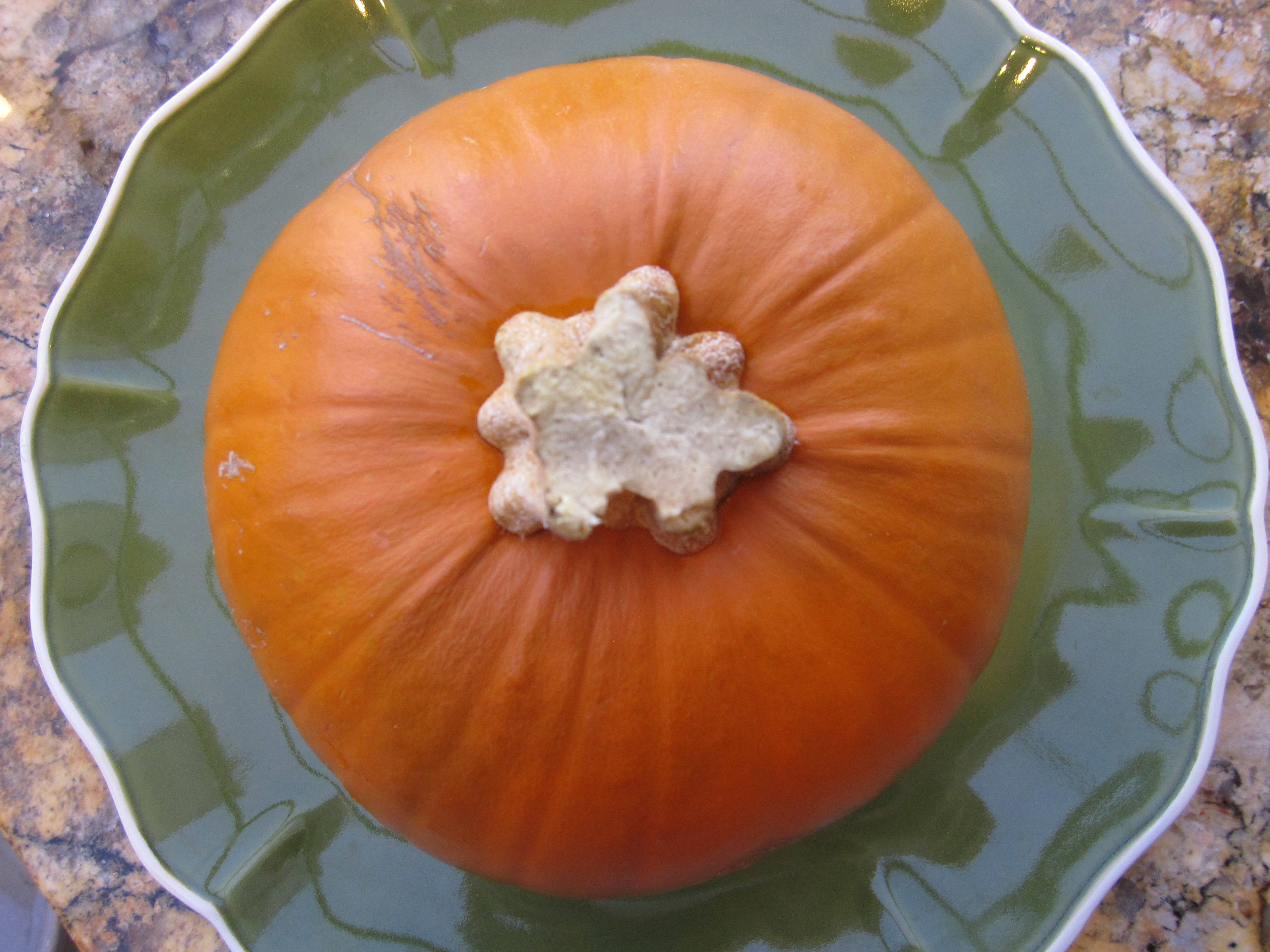 An overhead view of a pumpkin on a green and blue plate.