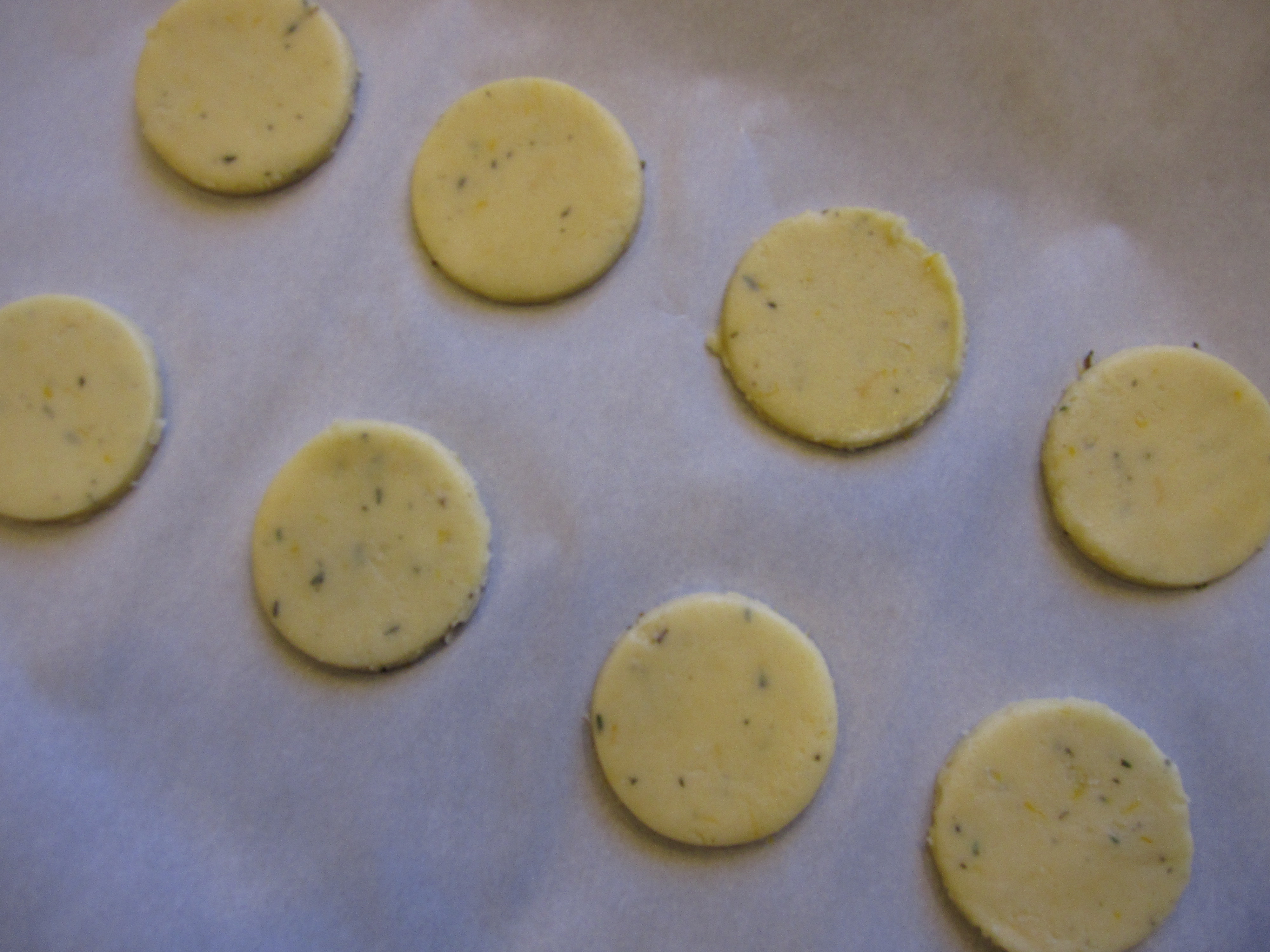 Orange Thyme Cocktail Cookies rolled and cut out in circles, laid out on parchment ready for baking.