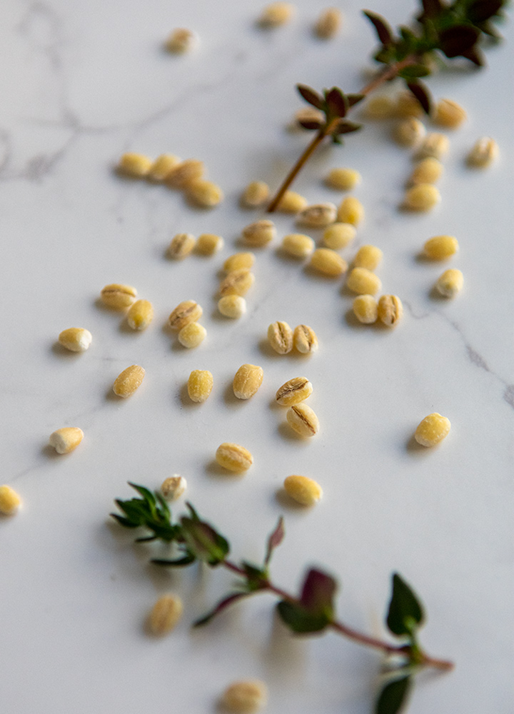 Uncooked barley and sprigs of thyme on marble table.