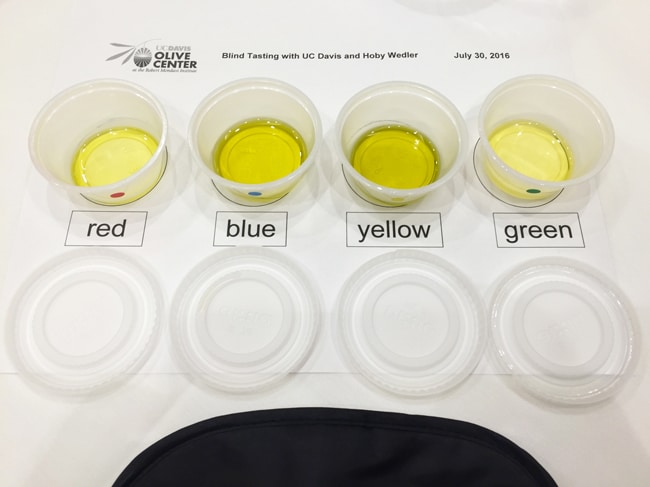 IFBC Blind Olive Oil Tasting