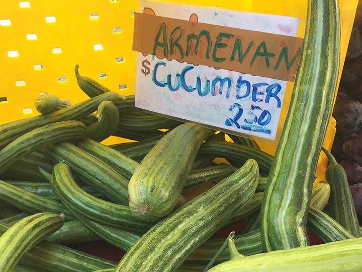 Armenian cucumbers at a farmers' market stand with hand written sign.