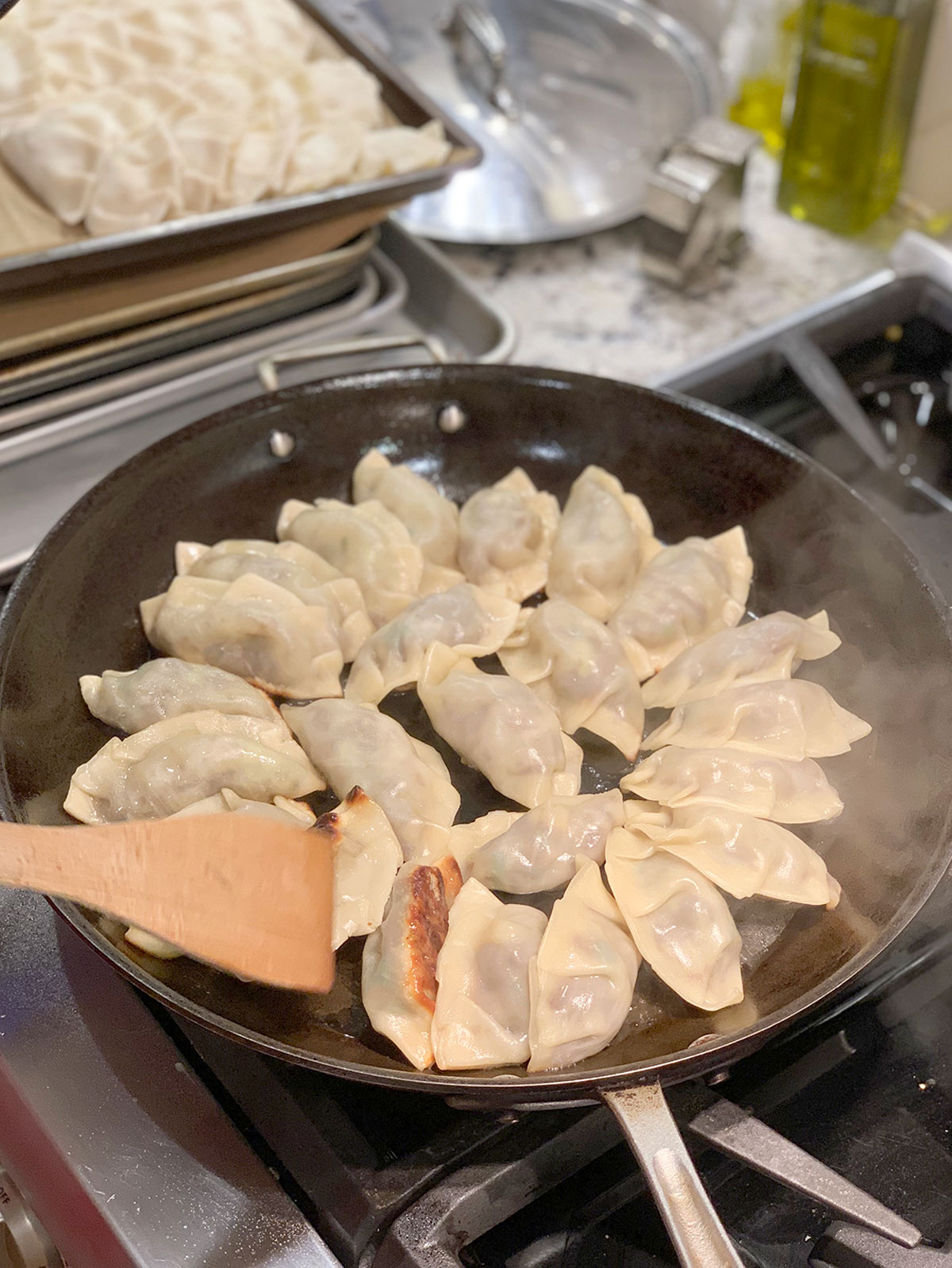 Mandu (Korean dumplings) being pan fried and showing the sear on one side of a few of them.