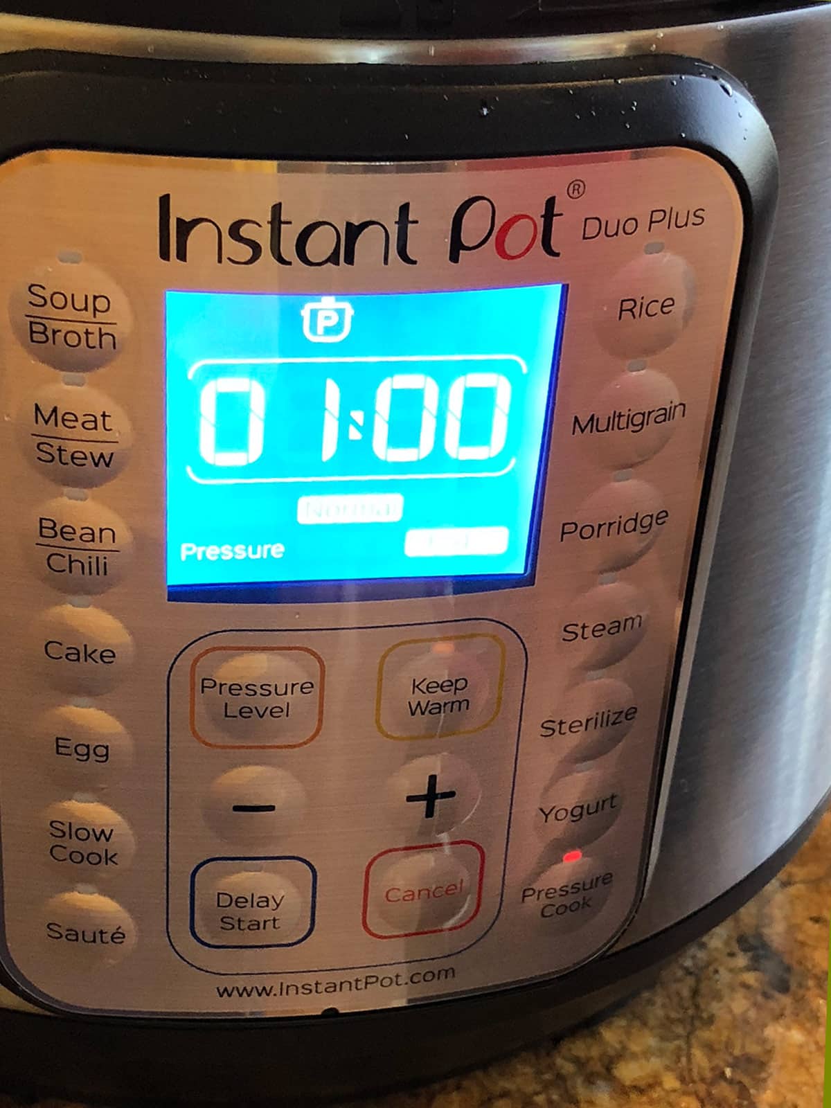 Close up of Instant Pot timer set to 1 hour.