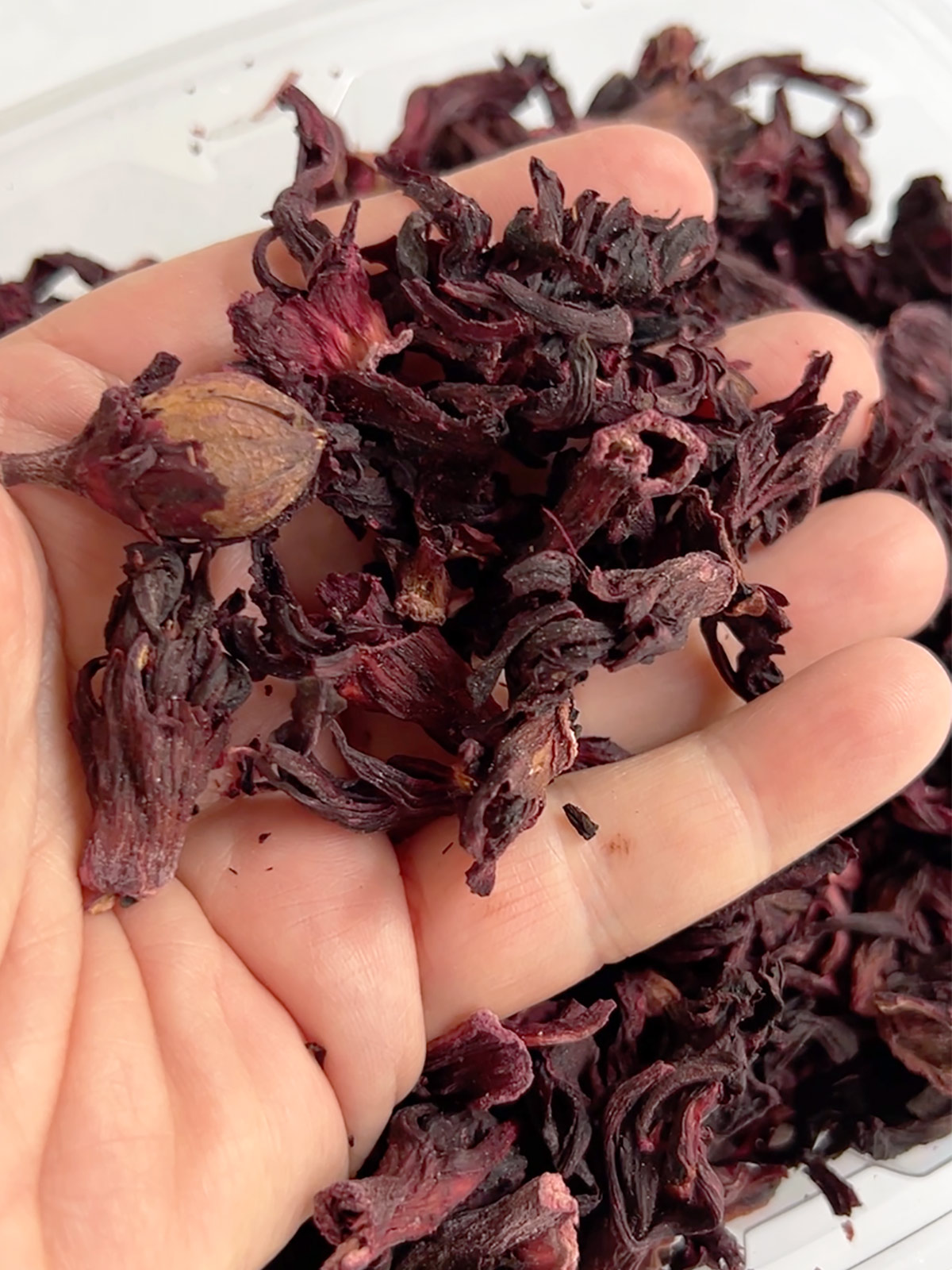 Hand holding dried hibiscus flowers.