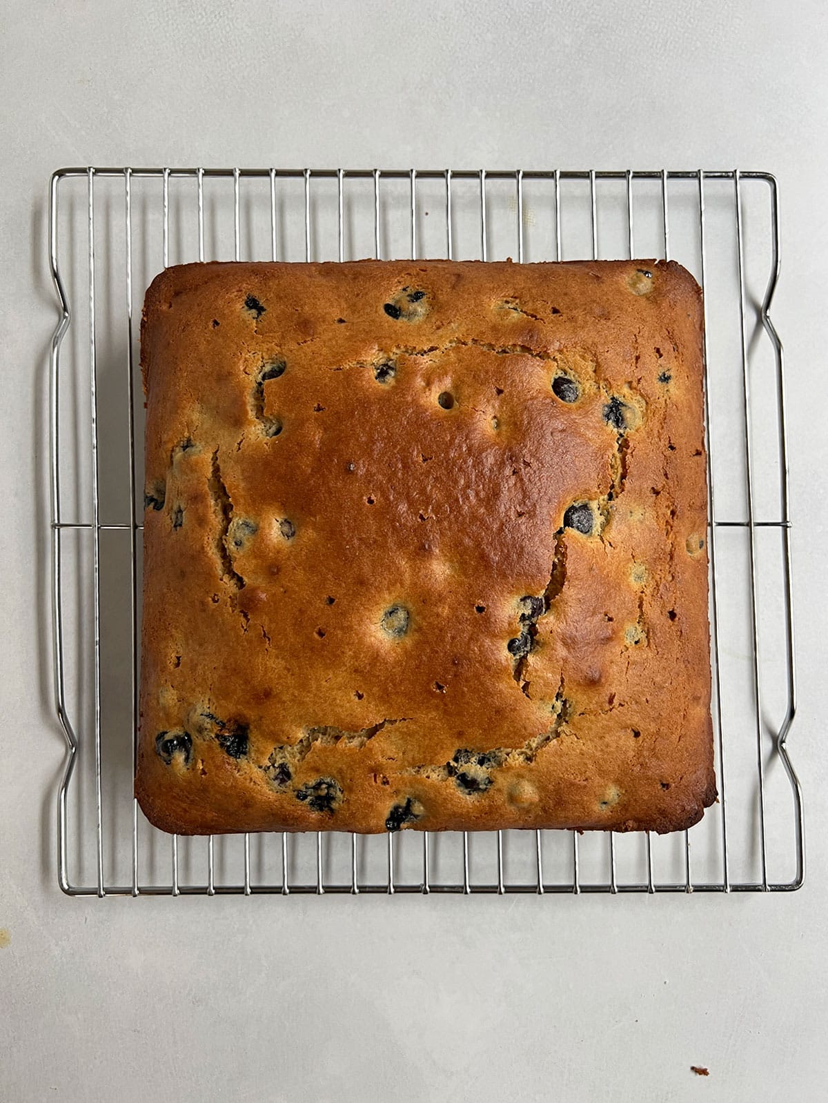 Olive oil blueberry cake on rack with holes poked in it before glaze is added.