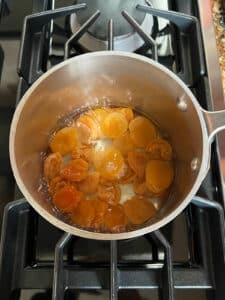 Apricots and water on a low boil in the pot.